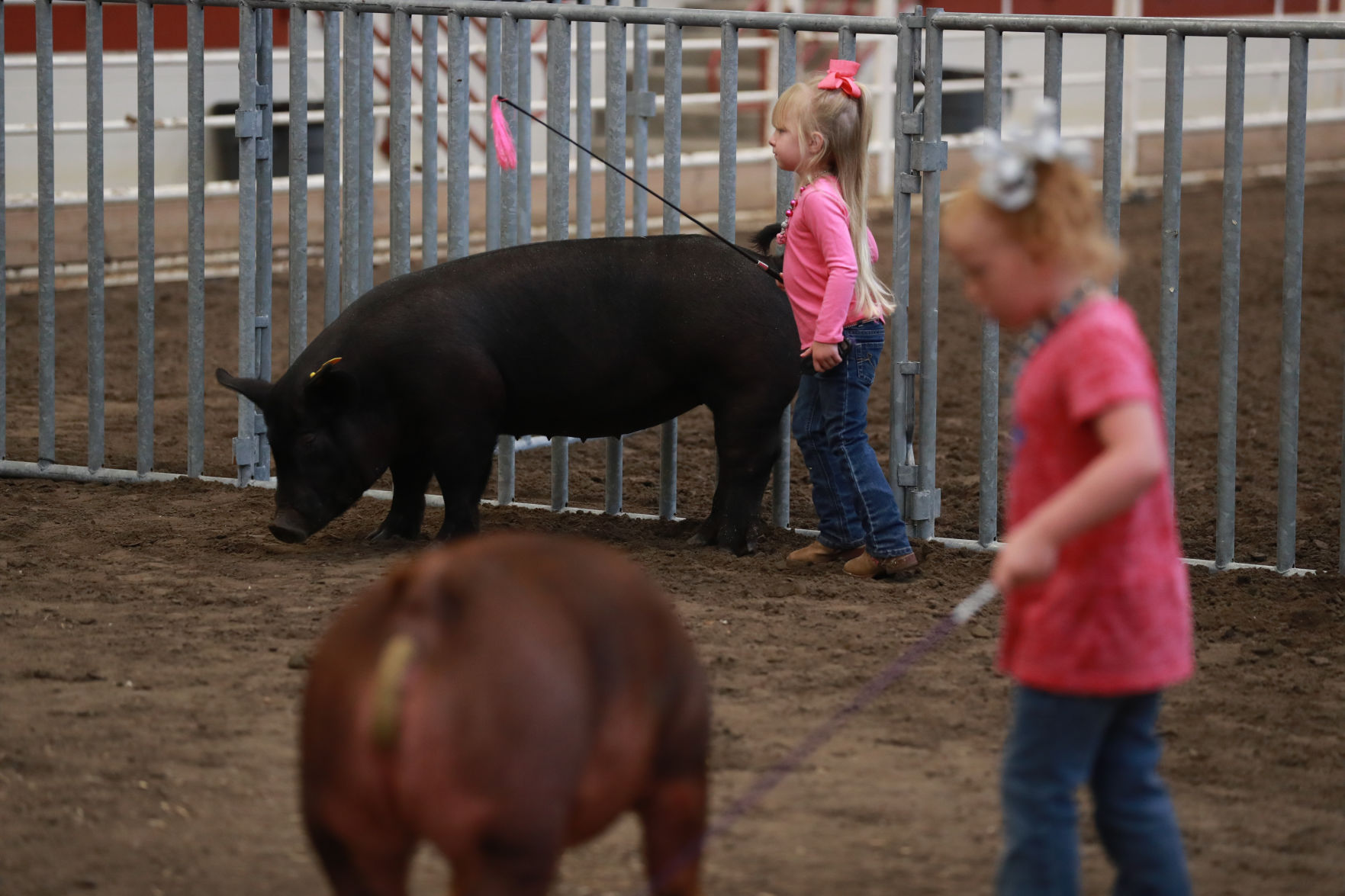 071119_HallCoFair16_bjs.JPG